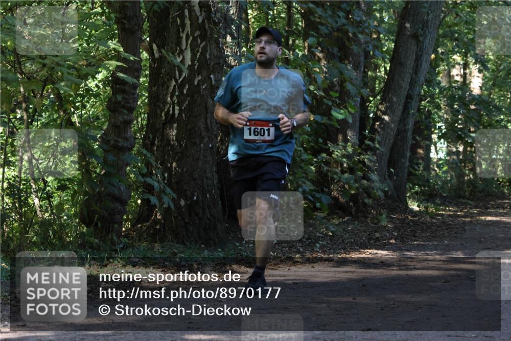 28.09.2025 - 33. Volkslauf durch das schöne Alstertal Strokosch-Dieckow http://msf.ph/oto/8970177 28.09.2025 11:44:17 Laufen 1601 meine-sportfotos.de