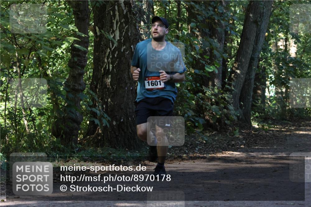 28.09.2025 - 33. Volkslauf durch das schöne Alstertal Strokosch-Dieckow http://msf.ph/oto/8970178 28.09.2025 11:44:17 Laufen 1601 meine-sportfotos.de