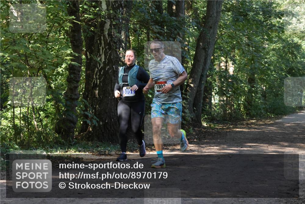 28.09.2025 - 33. Volkslauf durch das schöne Alstertal Strokosch-Dieckow http://msf.ph/oto/8970179 28.09.2025 11:44:34 Laufen 305, 1802 meine-sportfotos.de