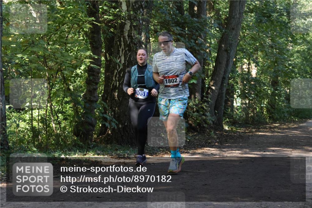 28.09.2025 - 33. Volkslauf durch das schöne Alstertal Strokosch-Dieckow http://msf.ph/oto/8970182 28.09.2025 11:44:34 Laufen 3051, 1802 meine-sportfotos.de