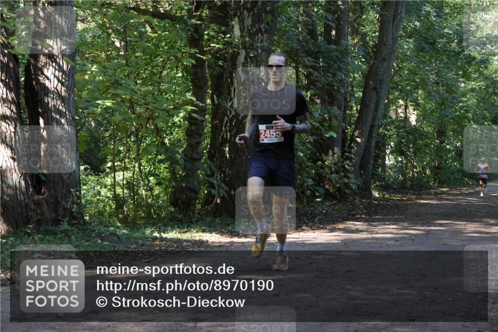28.09.2025 - 33. Volkslauf durch das schöne Alstertal Strokosch-Dieckow http://msf.ph/oto/8970190 28.09.2025 11:45:05 Laufen 2455 meine-sportfotos.de