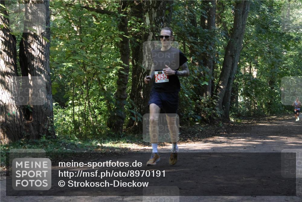 28.09.2025 - 33. Volkslauf durch das schöne Alstertal Strokosch-Dieckow http://msf.ph/oto/8970191 28.09.2025 11:45:05 Laufen 2455 meine-sportfotos.de