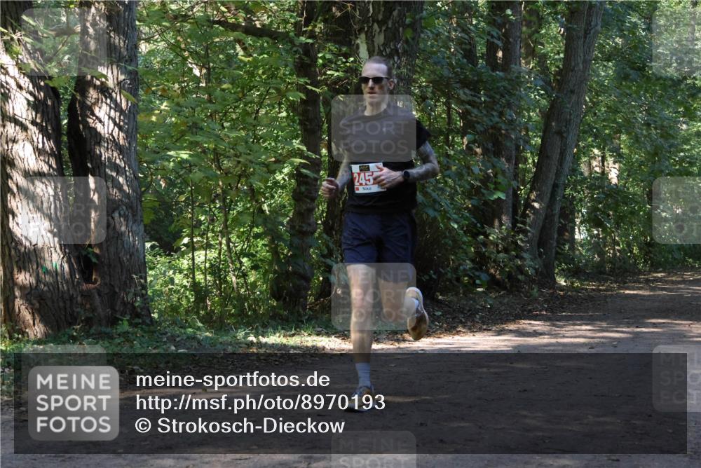 28.09.2025 - 33. Volkslauf durch das schöne Alstertal Strokosch-Dieckow http://msf.ph/oto/8970193 28.09.2025 11:45:05 Laufen 245 meine-sportfotos.de