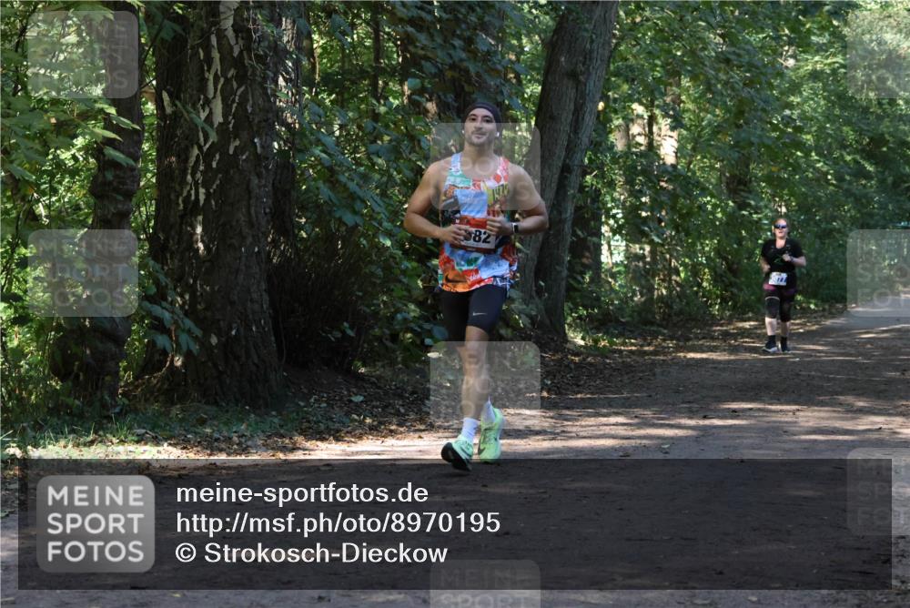28.09.2025 - 33. Volkslauf durch das schöne Alstertal Strokosch-Dieckow http://msf.ph/oto/8970195 28.09.2025 11:45:16 Laufen 82 meine-sportfotos.de