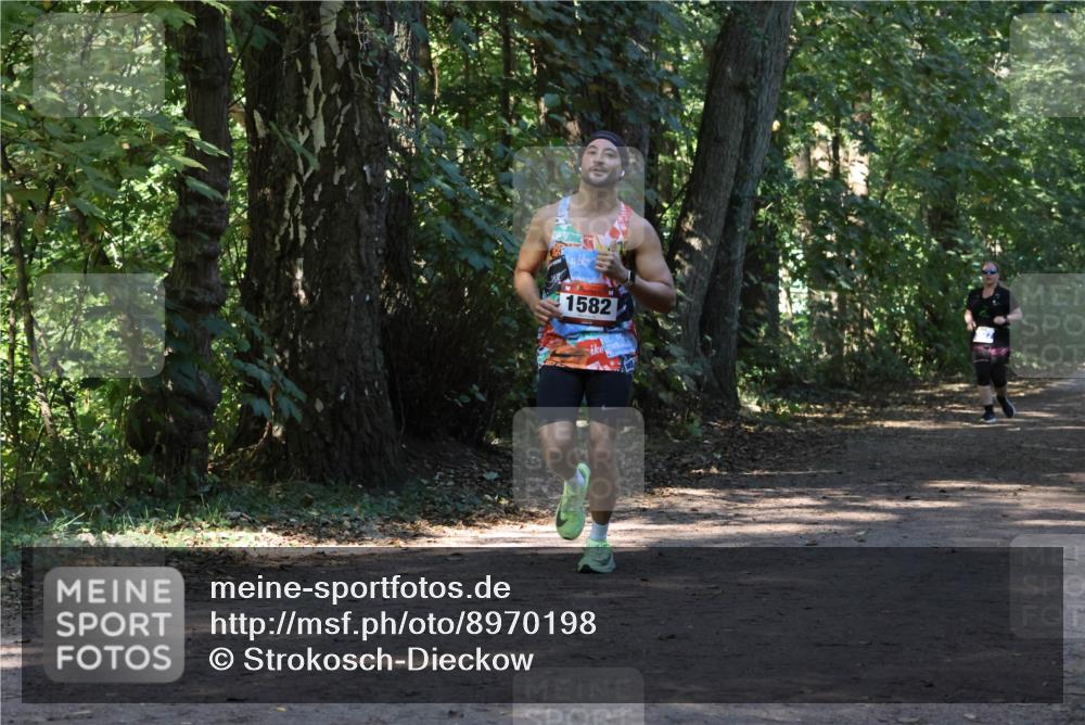 28.09.2025 - 33. Volkslauf durch das schöne Alstertal Strokosch-Dieckow http://msf.ph/oto/8970198 28.09.2025 11:45:16 Laufen 1582 meine-sportfotos.de