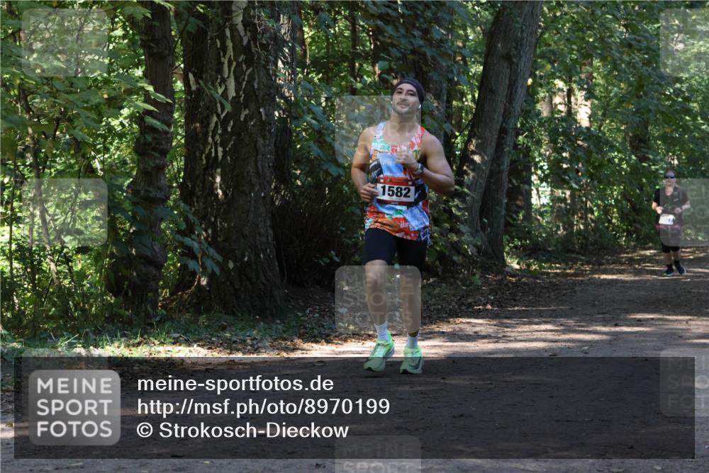 28.09.2025 - 33. Volkslauf durch das schöne Alstertal Strokosch-Dieckow http://msf.ph/oto/8970199 28.09.2025 11:45:16 Laufen 1582 meine-sportfotos.de