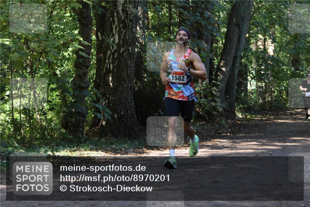 28.09.2025 - 33. Volkslauf durch das schöne Alstertal Strokosch-Dieckow http://msf.ph/oto/8970201 28.09.2025 11:45:17 Laufen 1582 meine-sportfotos.de
