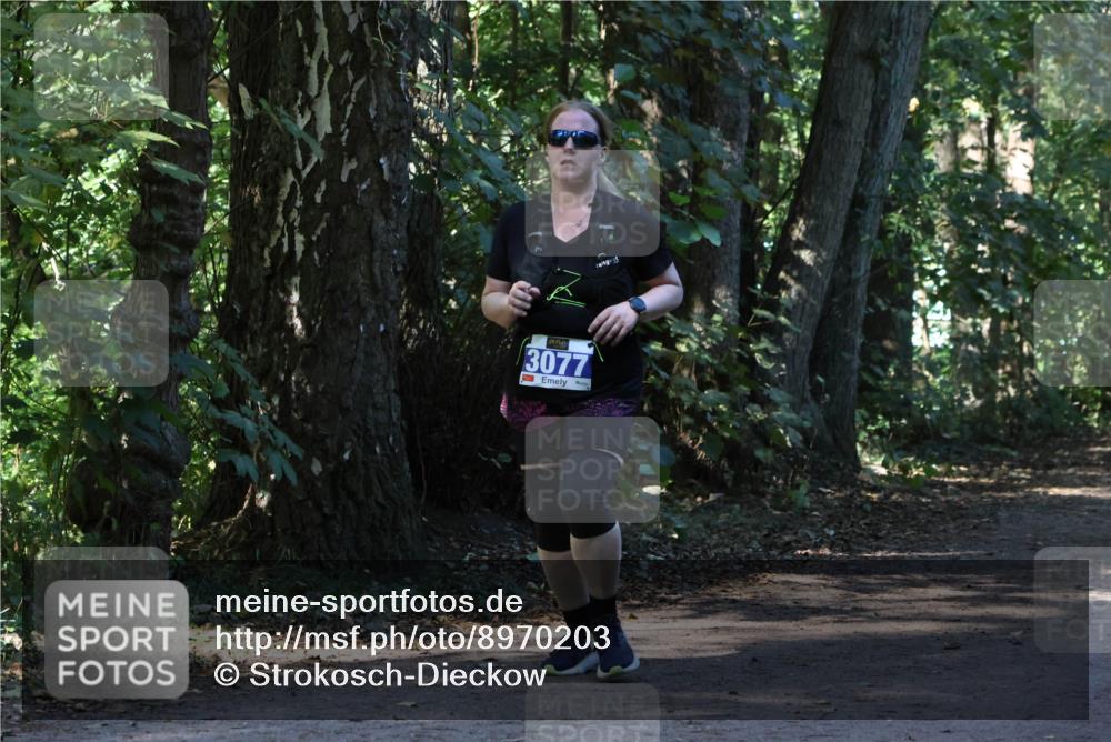 28.09.2025 - 33. Volkslauf durch das schöne Alstertal Strokosch-Dieckow http://msf.ph/oto/8970203 28.09.2025 11:45:27 Laufen 3077 meine-sportfotos.de