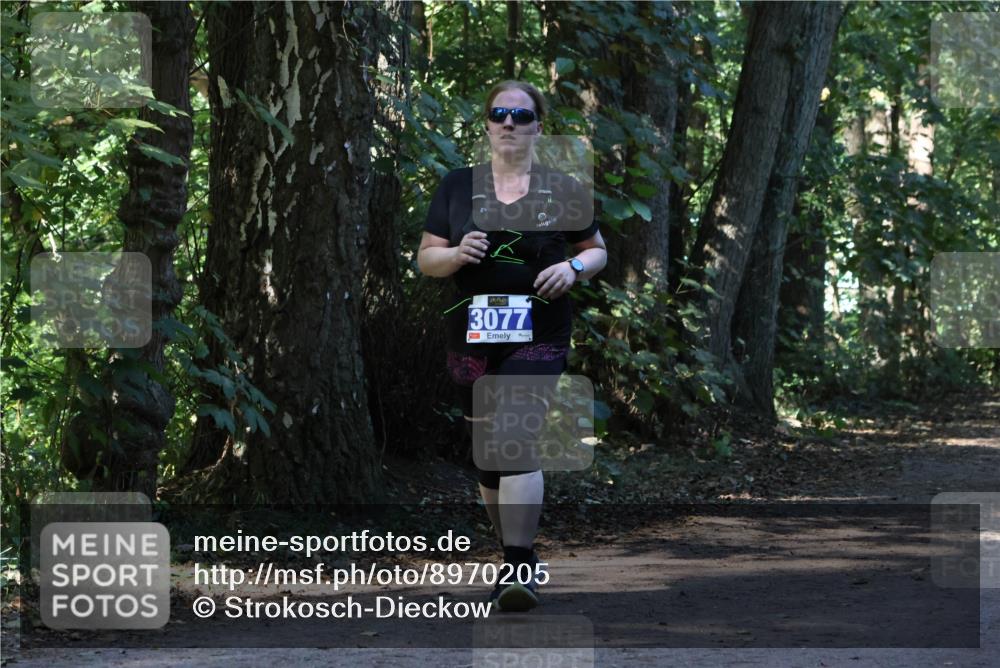 28.09.2025 - 33. Volkslauf durch das schöne Alstertal Strokosch-Dieckow http://msf.ph/oto/8970205 28.09.2025 11:45:27 Laufen 3077 meine-sportfotos.de