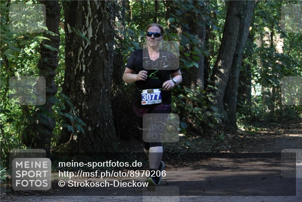 28.09.2025 - 33. Volkslauf durch das schöne Alstertal Strokosch-Dieckow http://msf.ph/oto/8970206 28.09.2025 11:45:27 Laufen 3077 meine-sportfotos.de