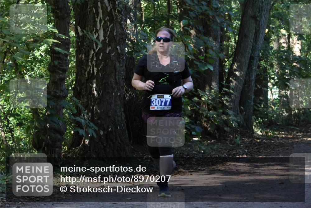 28.09.2025 - 33. Volkslauf durch das schöne Alstertal Strokosch-Dieckow http://msf.ph/oto/8970207 28.09.2025 11:45:27 Laufen 3077 meine-sportfotos.de