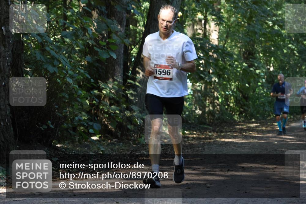 28.09.2025 - 33. Volkslauf durch das schöne Alstertal Strokosch-Dieckow http://msf.ph/oto/8970208 28.09.2025 11:46:06 Laufen 1596 meine-sportfotos.de