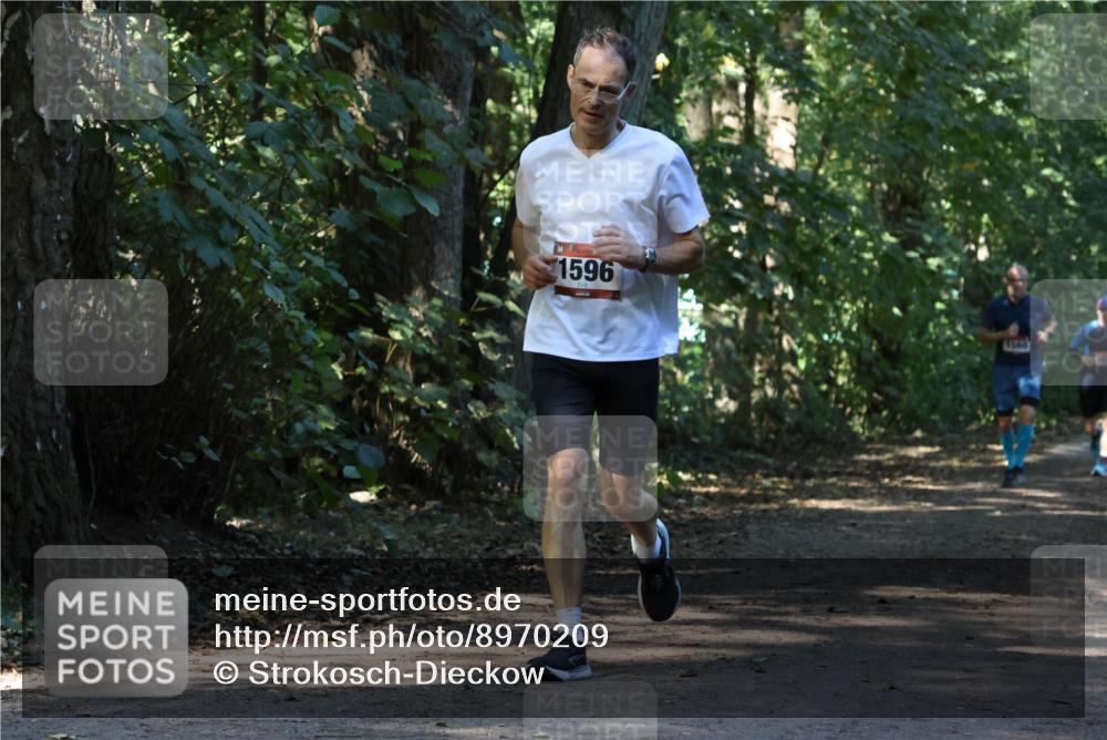 28.09.2025 - 33. Volkslauf durch das schöne Alstertal Strokosch-Dieckow http://msf.ph/oto/8970209 28.09.2025 11:46:06 Laufen 1596 meine-sportfotos.de