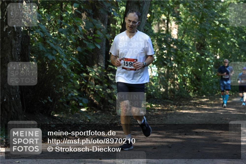 28.09.2025 - 33. Volkslauf durch das schöne Alstertal Strokosch-Dieckow http://msf.ph/oto/8970210 28.09.2025 11:46:07 Laufen 1596 meine-sportfotos.de