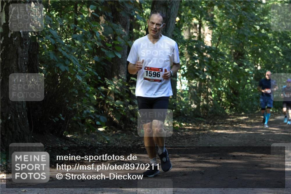 28.09.2025 - 33. Volkslauf durch das schöne Alstertal Strokosch-Dieckow http://msf.ph/oto/8970211 28.09.2025 11:46:07 Laufen 1596 meine-sportfotos.de