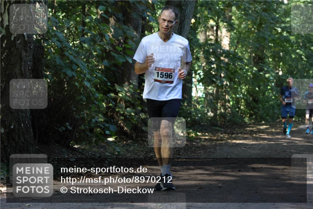 28.09.2025 - 33. Volkslauf durch das schöne Alstertal Strokosch-Dieckow http://msf.ph/oto/8970212 28.09.2025 11:46:07 Laufen 1596, 3060 meine-sportfotos.de