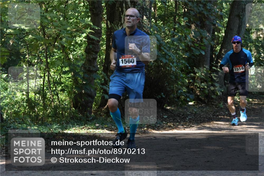28.09.2025 - 33. Volkslauf durch das schöne Alstertal Strokosch-Dieckow http://msf.ph/oto/8970213 28.09.2025 11:46:17 Laufen 1560, 1559 meine-sportfotos.de