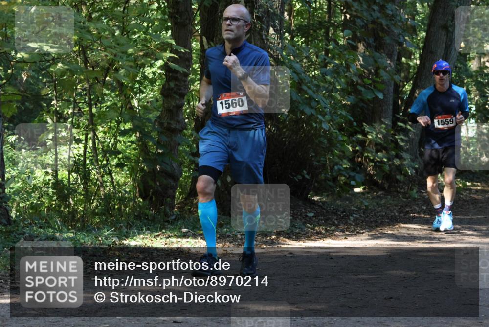 28.09.2025 - 33. Volkslauf durch das schöne Alstertal Strokosch-Dieckow http://msf.ph/oto/8970214 28.09.2025 11:46:17 Laufen 1560, 1559 meine-sportfotos.de