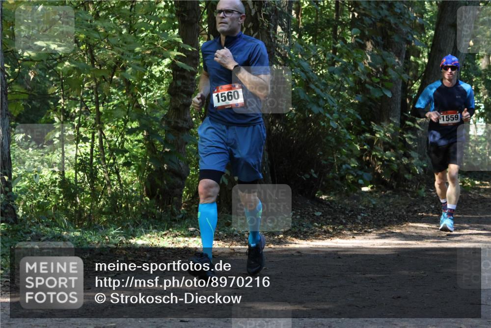 28.09.2025 - 33. Volkslauf durch das schöne Alstertal Strokosch-Dieckow http://msf.ph/oto/8970216 28.09.2025 11:46:17 Laufen 1560, 1559 meine-sportfotos.de