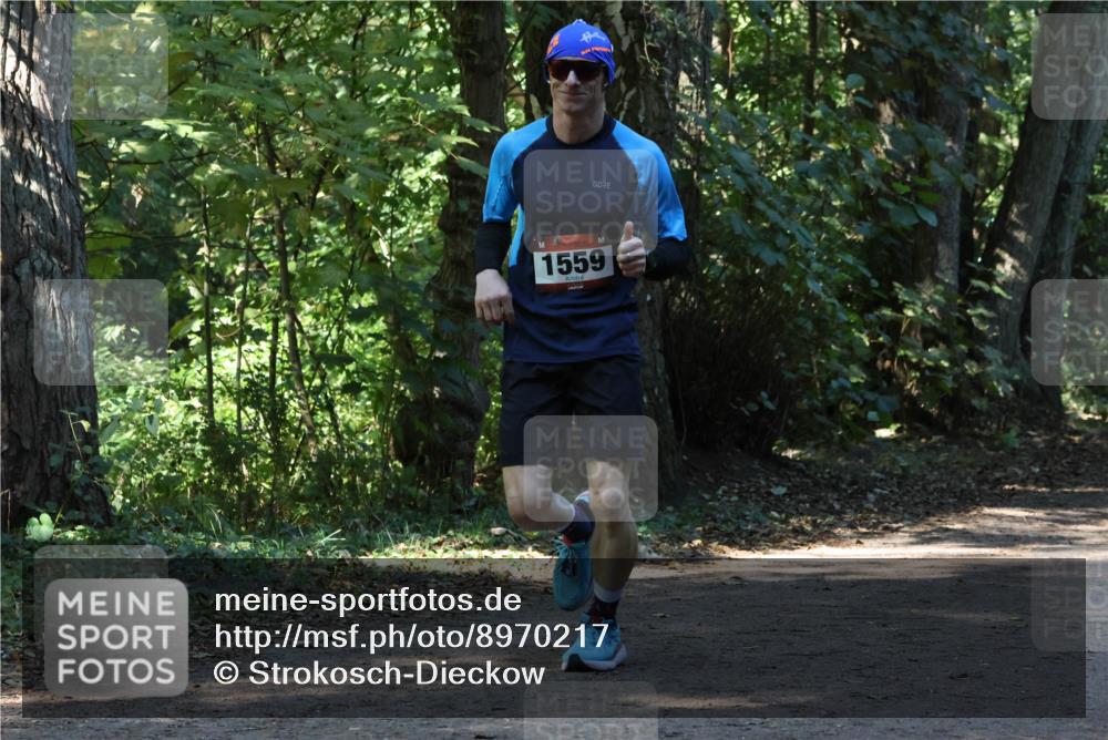 28.09.2025 - 33. Volkslauf durch das schöne Alstertal Strokosch-Dieckow http://msf.ph/oto/8970217 28.09.2025 11:46:19 Laufen 1559 meine-sportfotos.de