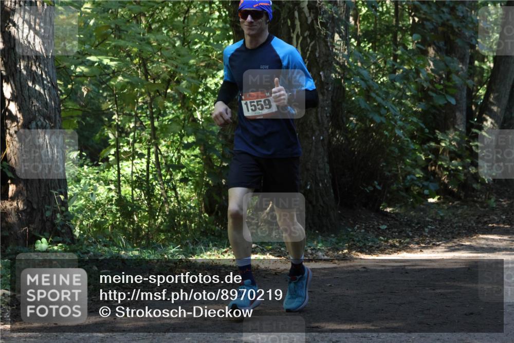 28.09.2025 - 33. Volkslauf durch das schöne Alstertal Strokosch-Dieckow http://msf.ph/oto/8970219 28.09.2025 11:46:20 Laufen 1559 meine-sportfotos.de
