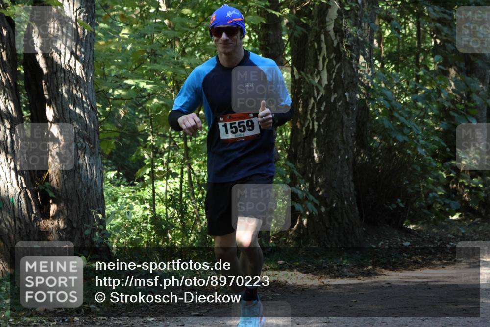28.09.2025 - 33. Volkslauf durch das schöne Alstertal Strokosch-Dieckow http://msf.ph/oto/8970223 28.09.2025 11:46:20 Laufen 1559 meine-sportfotos.de