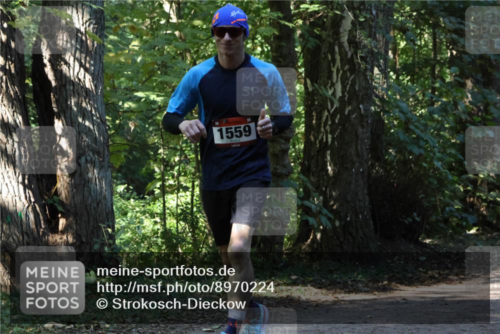 28.09.2025 - 33. Volkslauf durch das schöne Alstertal Strokosch-Dieckow http://msf.ph/oto/8970224 28.09.2025 11:46:20 Laufen 1559 meine-sportfotos.de