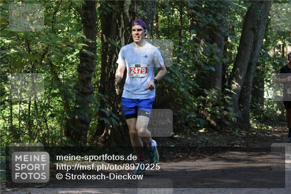 28.09.2025 - 33. Volkslauf durch das schöne Alstertal Strokosch-Dieckow http://msf.ph/oto/8970225 28.09.2025 11:46:38 Laufen 2479 meine-sportfotos.de