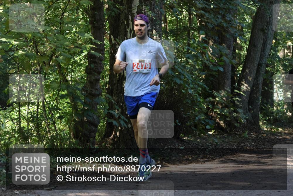 28.09.2025 - 33. Volkslauf durch das schöne Alstertal Strokosch-Dieckow http://msf.ph/oto/8970227 28.09.2025 11:46:38 Laufen 2479 meine-sportfotos.de