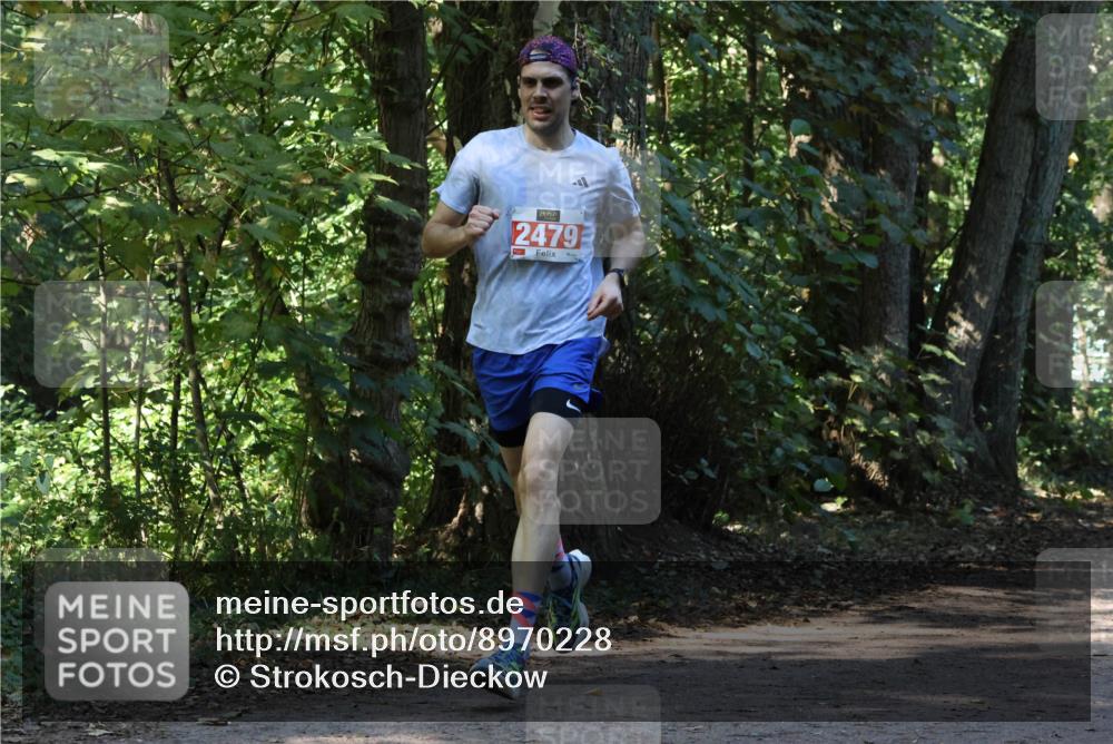 28.09.2025 - 33. Volkslauf durch das schöne Alstertal Strokosch-Dieckow http://msf.ph/oto/8970228 28.09.2025 11:46:38 Laufen 2479 meine-sportfotos.de