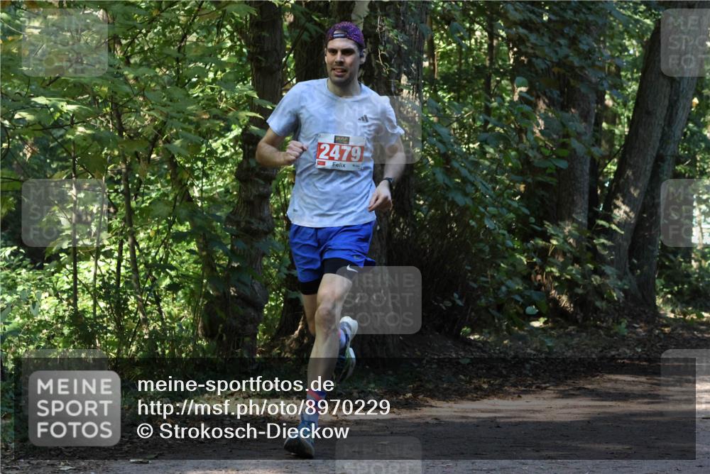 28.09.2025 - 33. Volkslauf durch das schöne Alstertal Strokosch-Dieckow http://msf.ph/oto/8970229 28.09.2025 11:46:38 Laufen 2479 meine-sportfotos.de