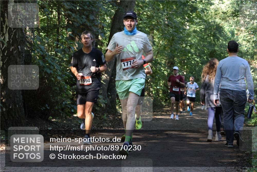 28.09.2025 - 33. Volkslauf durch das schöne Alstertal Strokosch-Dieckow http://msf.ph/oto/8970230 28.09.2025 11:46:40 Laufen 1590, 177, 1592 meine-sportfotos.de