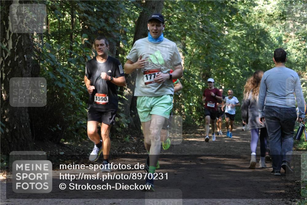 28.09.2025 - 33. Volkslauf durch das schöne Alstertal Strokosch-Dieckow http://msf.ph/oto/8970231 28.09.2025 11:46:40 Laufen 1590, 177, 1592 meine-sportfotos.de