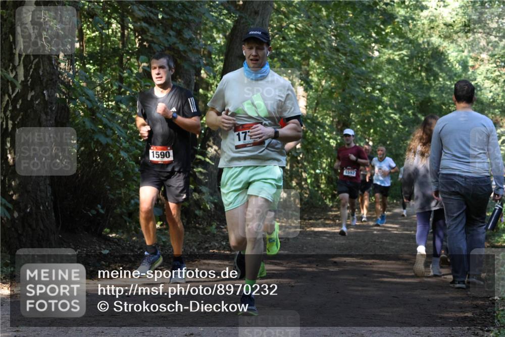 28.09.2025 - 33. Volkslauf durch das schöne Alstertal Strokosch-Dieckow http://msf.ph/oto/8970232 28.09.2025 11:46:40 Laufen 1590, 17, 1592 meine-sportfotos.de
