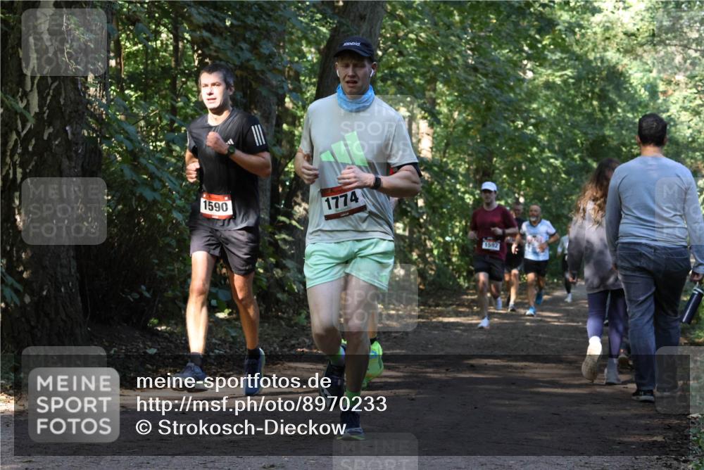 28.09.2025 - 33. Volkslauf durch das schöne Alstertal Strokosch-Dieckow http://msf.ph/oto/8970233 28.09.2025 11:46:40 Laufen 1590, 1774, 1592 meine-sportfotos.de
