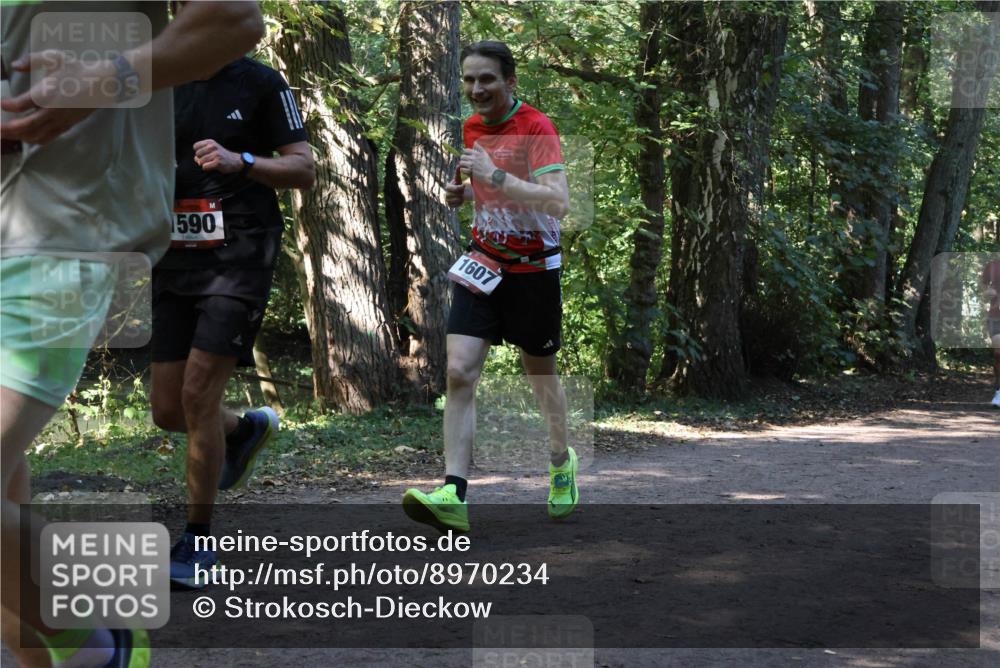 28.09.2025 - 33. Volkslauf durch das schöne Alstertal Strokosch-Dieckow http://msf.ph/oto/8970234 28.09.2025 11:46:43 Laufen 1590, 1607 meine-sportfotos.de