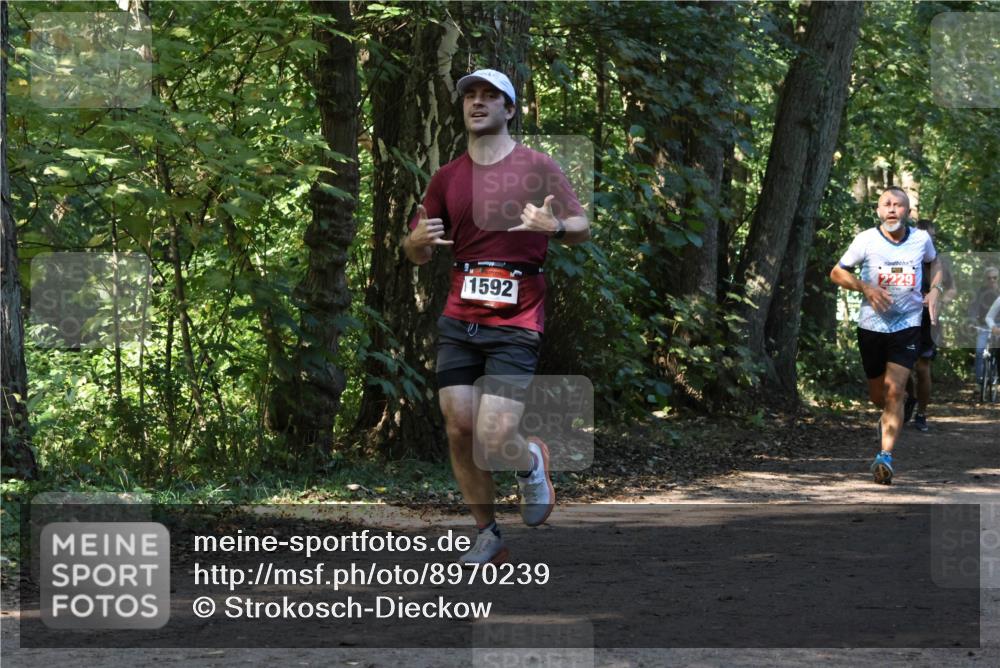 28.09.2025 - 33. Volkslauf durch das schöne Alstertal Strokosch-Dieckow http://msf.ph/oto/8970239 28.09.2025 11:46:45 Laufen 2229, 1592 meine-sportfotos.de