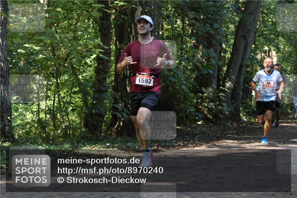 28.09.2025 - 33. Volkslauf durch das schöne Alstertal Strokosch-Dieckow http://msf.ph/oto/8970240 28.09.2025 11:46:45 Laufen 1592, 2229 meine-sportfotos.de
