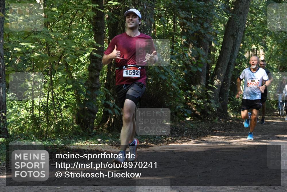 28.09.2025 - 33. Volkslauf durch das schöne Alstertal Strokosch-Dieckow http://msf.ph/oto/8970241 28.09.2025 11:46:45 Laufen 1592, 2229 meine-sportfotos.de