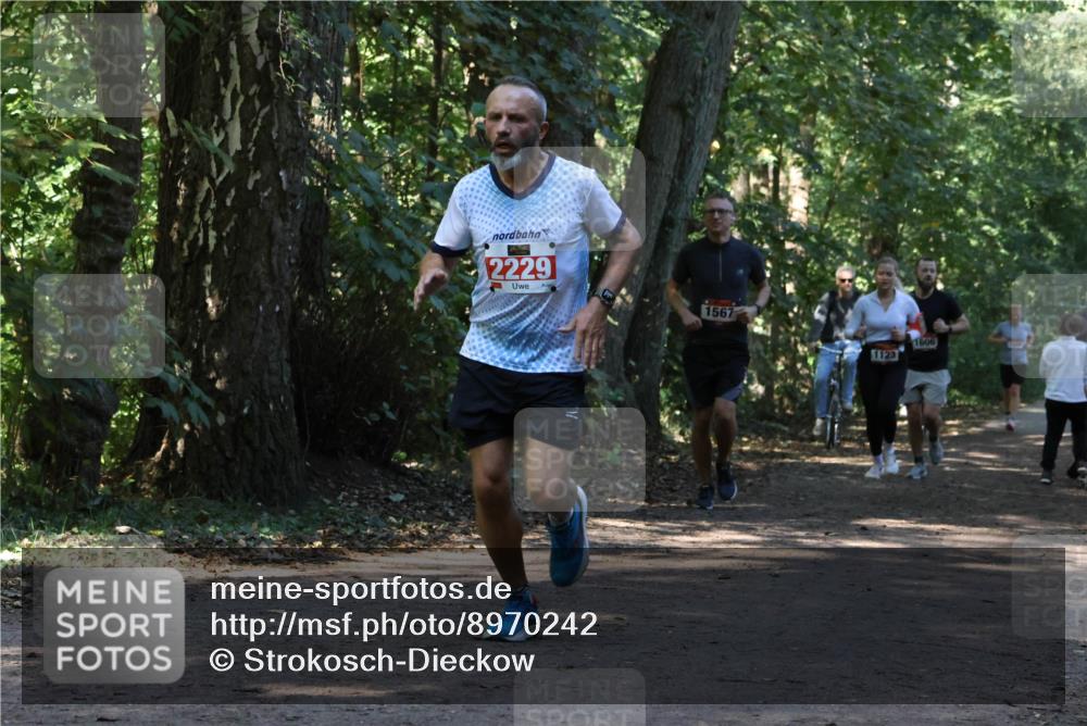 28.09.2025 - 33. Volkslauf durch das schöne Alstertal Strokosch-Dieckow http://msf.ph/oto/8970242 28.09.2025 11:46:47 Laufen 2229, 1567, 1606, 1123 meine-sportfotos.de