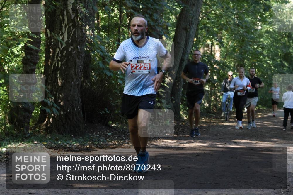 28.09.2025 - 33. Volkslauf durch das schöne Alstertal Strokosch-Dieckow http://msf.ph/oto/8970243 28.09.2025 11:46:47 Laufen 2229, 567, 1606, 1123 meine-sportfotos.de