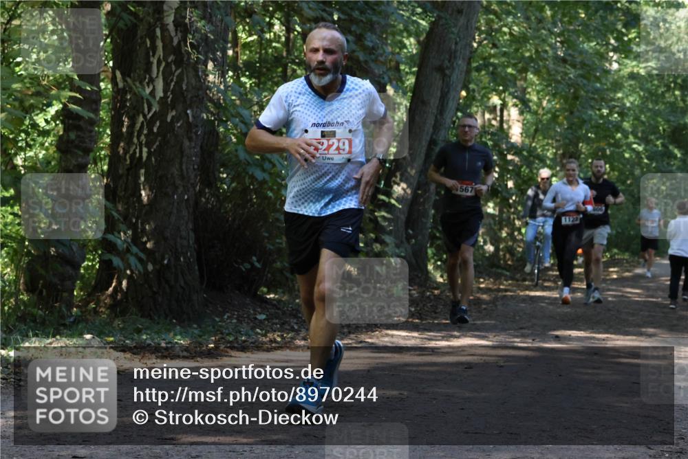28.09.2025 - 33. Volkslauf durch das schöne Alstertal Strokosch-Dieckow http://msf.ph/oto/8970244 28.09.2025 11:46:47 Laufen 229, 567, 1123 meine-sportfotos.de