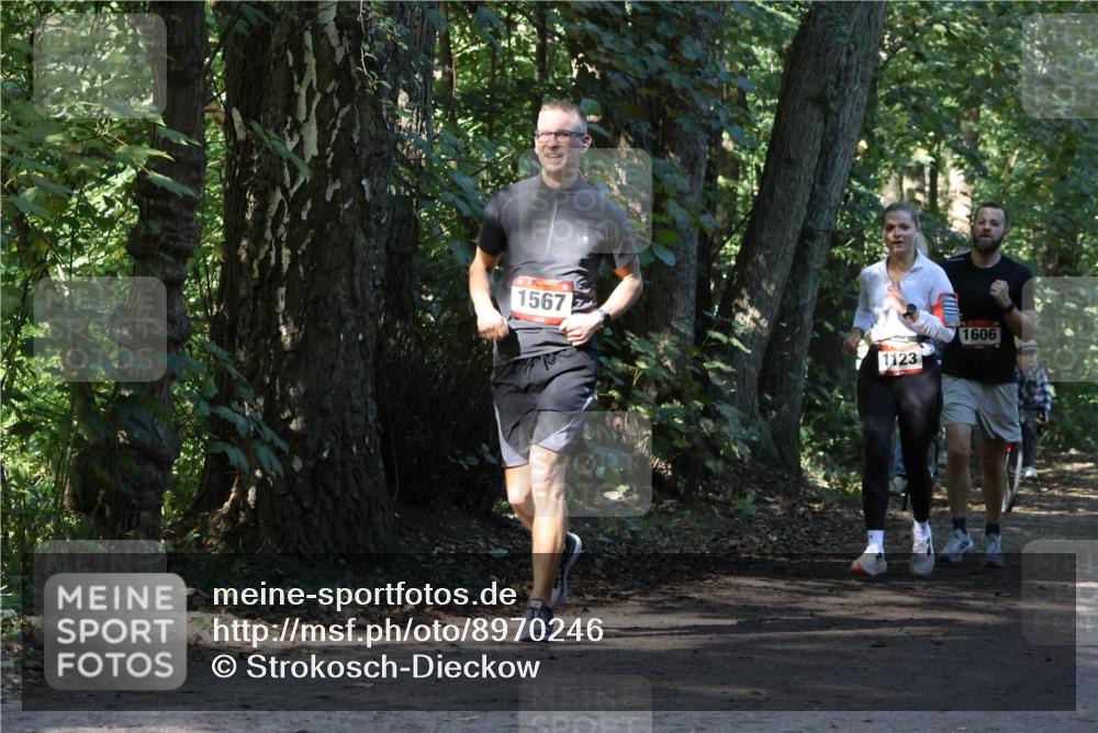 28.09.2025 - 33. Volkslauf durch das schöne Alstertal Strokosch-Dieckow http://msf.ph/oto/8970246 28.09.2025 11:46:50 Laufen 1567, 1123, 1606 meine-sportfotos.de
