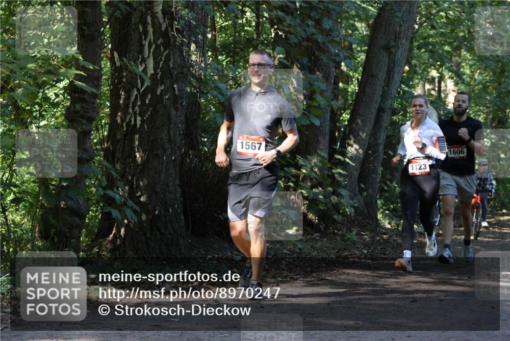 28.09.2025 - 33. Volkslauf durch das schöne Alstertal Strokosch-Dieckow http://msf.ph/oto/8970247 28.09.2025 11:46:50 Laufen 1567, 1123, 1606 meine-sportfotos.de