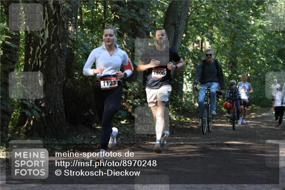 28.09.2025 - 33. Volkslauf durch das schöne Alstertal Strokosch-Dieckow http://msf.ph/oto/8970248 28.09.2025 11:46:51 Laufen 1123, 1606, 1588 meine-sportfotos.de