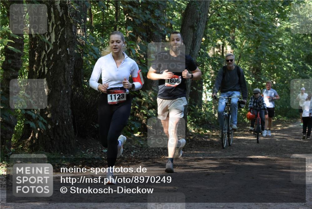 28.09.2025 - 33. Volkslauf durch das schöne Alstertal Strokosch-Dieckow http://msf.ph/oto/8970249 28.09.2025 11:46:51 Laufen 1123, 1606, 1588 meine-sportfotos.de