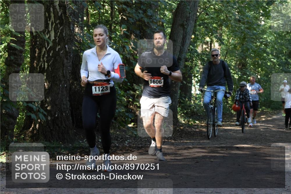 28.09.2025 - 33. Volkslauf durch das schöne Alstertal Strokosch-Dieckow http://msf.ph/oto/8970251 28.09.2025 11:46:52 Laufen 1123, 1606, 1588 meine-sportfotos.de