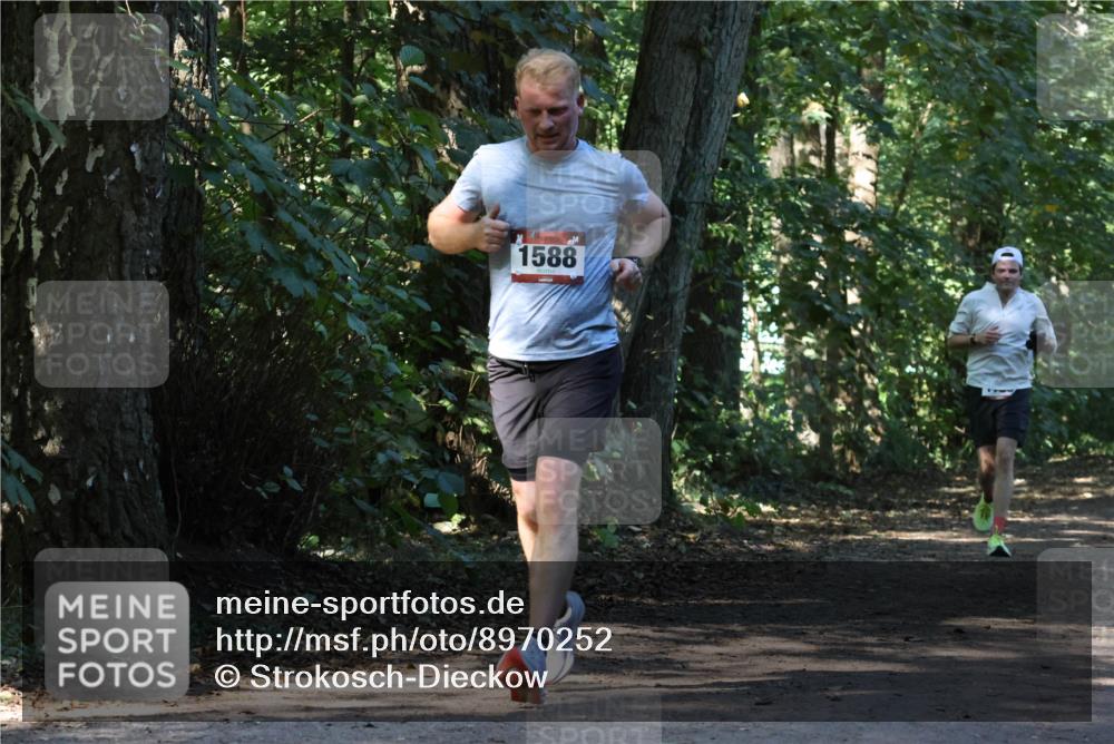 28.09.2025 - 33. Volkslauf durch das schöne Alstertal Strokosch-Dieckow http://msf.ph/oto/8970252 28.09.2025 11:46:59 Laufen 1588 meine-sportfotos.de