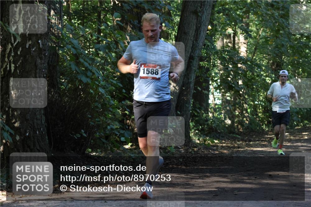 28.09.2025 - 33. Volkslauf durch das schöne Alstertal Strokosch-Dieckow http://msf.ph/oto/8970253 28.09.2025 11:46:59 Laufen 1588 meine-sportfotos.de