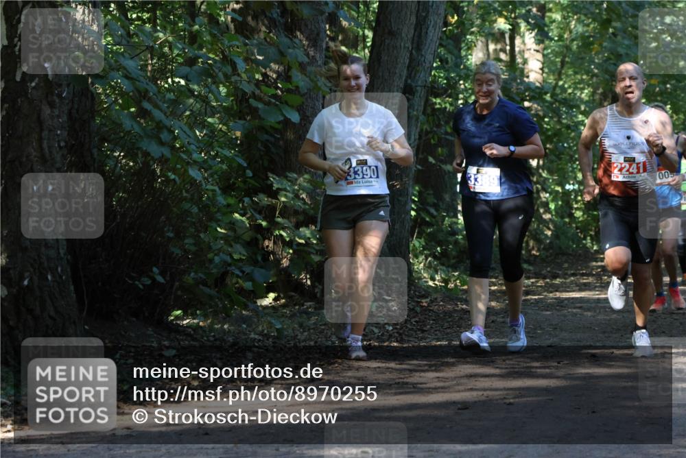 28.09.2025 - 33. Volkslauf durch das schöne Alstertal Strokosch-Dieckow http://msf.ph/oto/8970255 28.09.2025 11:47:15 Laufen 3390, 3389, 2241, 00 meine-sportfotos.de